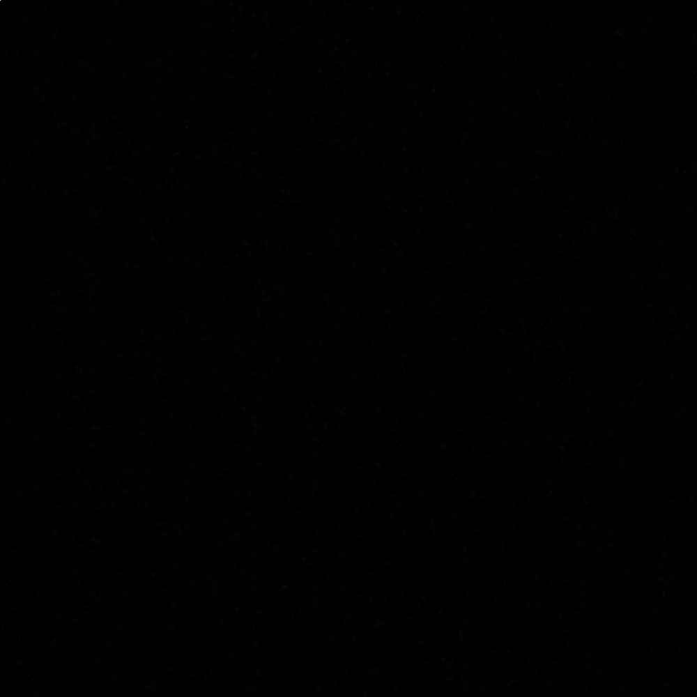 Meet your Posher, Dorothy